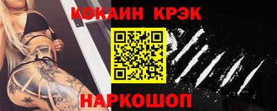 гашик Кингисепп