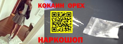 гашик Кингисепп