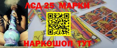 гашик Кингисепп