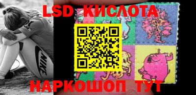 ПСИЛОЦИБИНОВЫЕ ГРИБЫ Кимры