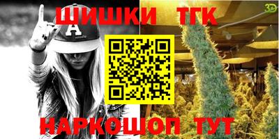 гашик Кингисепп
