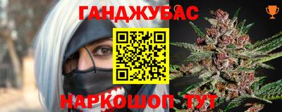 гашик Кингисепп
