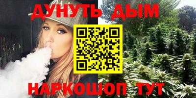 гашик Кингисепп