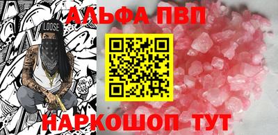 гашик Кингисепп