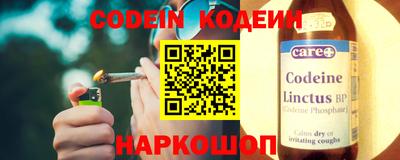 гашик Кингисепп