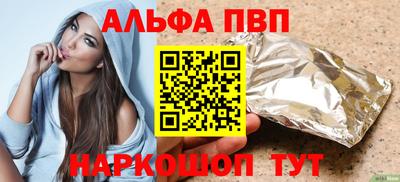 гашик Кингисепп