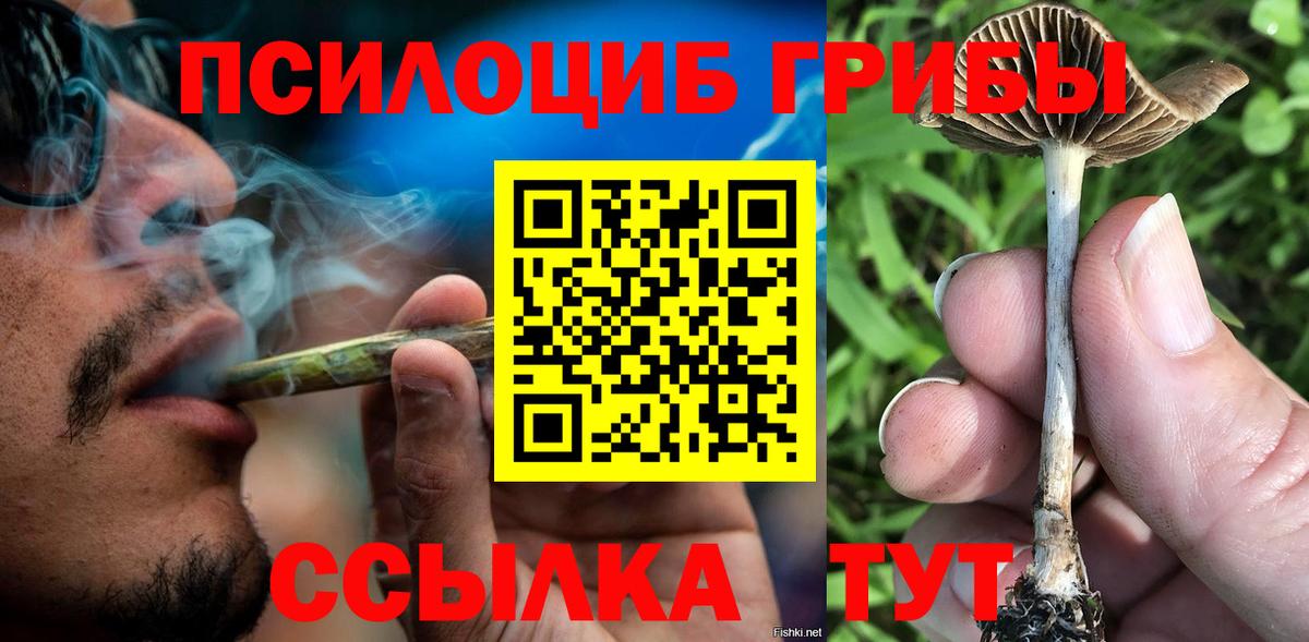 Галлюциногенные грибы мицелий Красный Сулин